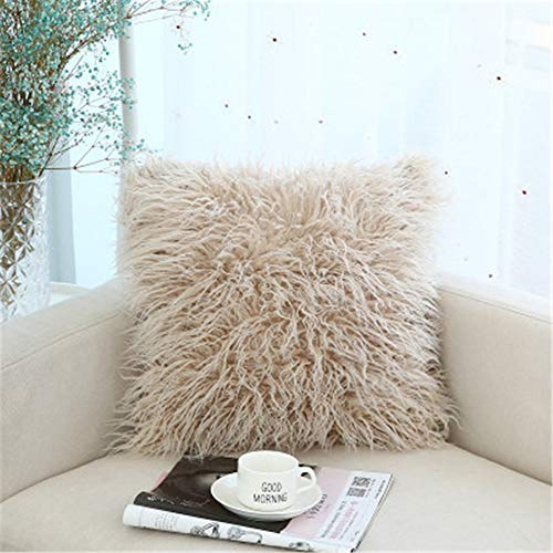 Hava Kolari Plüsch Kissenbezug Süß Sofakissen Deko Autokissen Superweich Plüsch Fellkissen, 45 * 45cm (Beige)