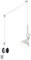 Trio Leuchten Pendelleuchte Carlotta 305170131, Metall Weiß matt, 6 Meter Kabel, exkl. 1x GU10