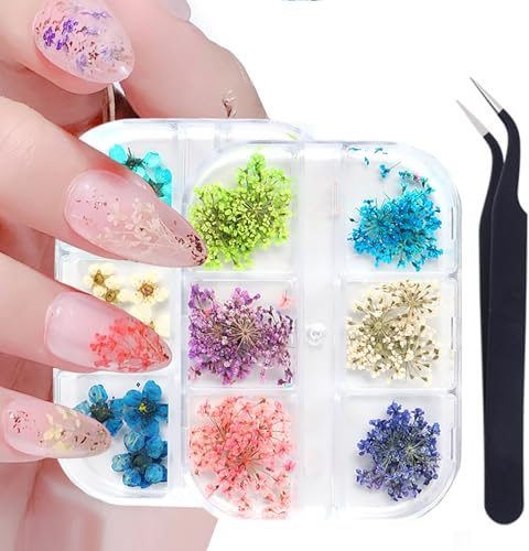 GZSYY Nagel Getrocknete Blumen Trockenblumen Nagelkunst Set 2PCS 3D Nail Dried Flowers Sticker Nail Art Flowers Set mit Pinzette