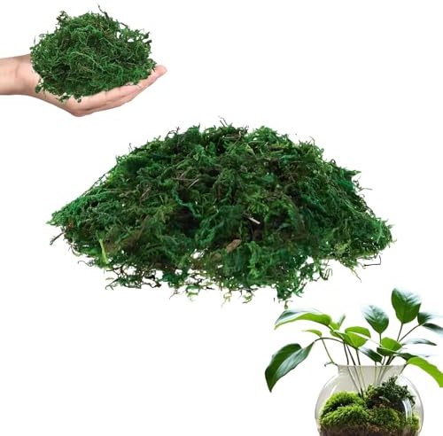 Qixuer 200g Mousse Artificielle de Simulation,Confortable et Pratique Mousse Artificielle Verte Ren Mousse Artificielle Lichen Simulation Fausses Plantes Vertes pour Plantes Patio Jardin Décoration