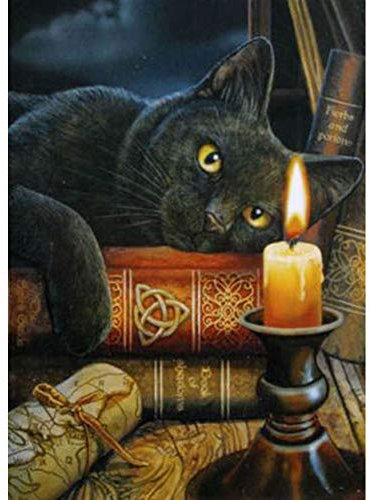 5D Diamond Painting Diamant Malerei Painting Bilder, Wowdecor Schwarz Katze Buch Kerze Licht Tiere Full Set Groß DIY Diamant Gemälde Malen Nach Zahlen