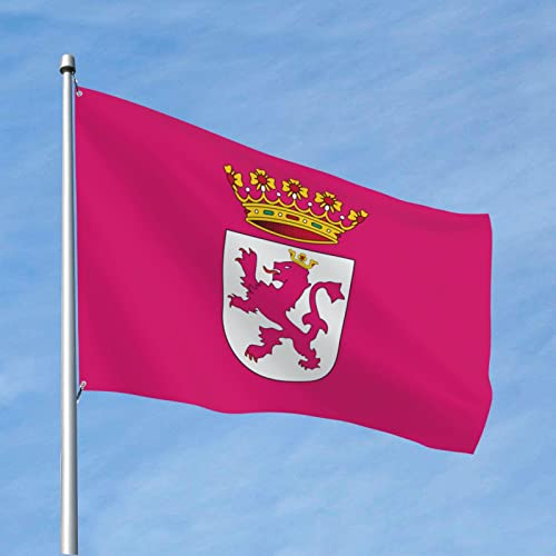 Strapazierfähige Flagge „Bandera Del País Leonés, 1,2 x 1,8 m, langlebiges Banner für den Außenbereich, Willkommensflagge für Zuhause, Party, Terrassendekoration