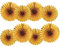 GAKA FAVOR Party Hanging Glitter Gold Paper Fans Set,40.6CM(16in) and 30.4CM(12in) Round Paper Ceiling Party Decoration Suppiles,Set of 8