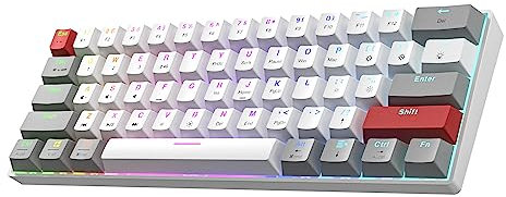Newmen GM610Pro Clavier Mecanique 60%,Clavier Gamer sans Fil 2.4Ghz/Bluetooth/USB RGB Rétroéclairé,Blanc et Gris,Clavier Gaming Mécanique Remplaçable à Chaud pour Windows/Mac/Android(Gateron Bleu)