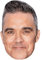 Robbie Williams (Grey Hair) Maske aus Karton