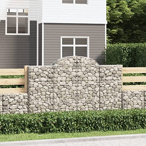 Hochbeet Schmal,Blumenkasten Balkon gabionen Mit Hochbogen 20stk. 200x30x120/140cm Verzinktes Eisengeeignet Für Garten, Eingang, Wohnzimmer, Korridor, Büro, Balkon, Außenbereich