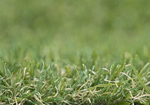 Kunstrasen Rasenteppich Cook für Garten - Florhöhe 20 mm - Gewicht ca. 1993 g/m² - UV-Garantie 8 Jahre (DIN 53387) | Rollrasen | Kunststoffrasen 4 m x 1 m