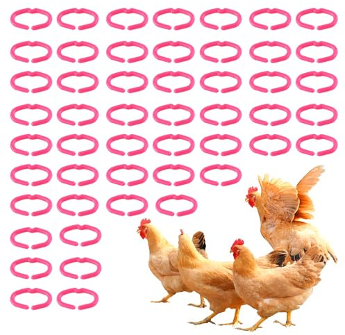 Broches a presión de Boca de Pollo, Anillo de Pico de Pollo, Anillo de Pico de Pollo antipicaje, Conjunto de 50 Uds, Herramienta de Plumas de Aves de Corral de Color al Azar(Big)