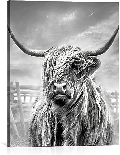 Schottisches Land Rind Bild, Schwarz-Weiß Hochland-Kuh Wandbild, Leinwandgemälde Kunst Fotografie Tier Kuh Poster für Badezimmer Dekor Rahmenlose (70x100 cm)