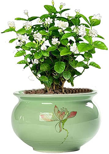 GXBCS Pflanzkübel Blumentöpfe Übertopf Kreativer Keramik Blumentopf Jasmin Bonsai Grüne Pflanze Blumentopf Sukkulenten Lila Sand Retro Steinzeug Gartentopf 927