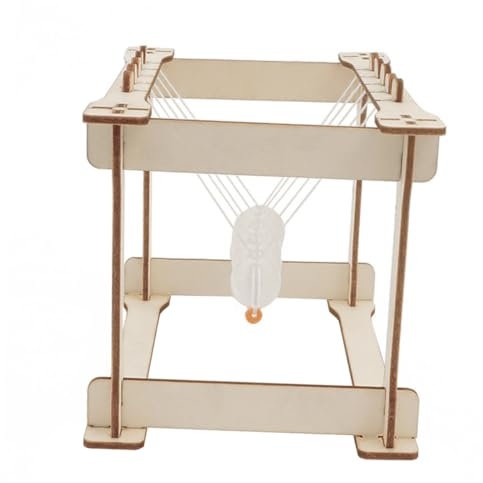 LALADEFIEE 1 Satz Newtonpendel selber Bauen Wiege Balance billardkugeln Montage DIY Spielzeug Trägheitsspielzeug lustige Gadgets DIY wissenschaftliches Spielzeug Schreibtischdekorationen Holz