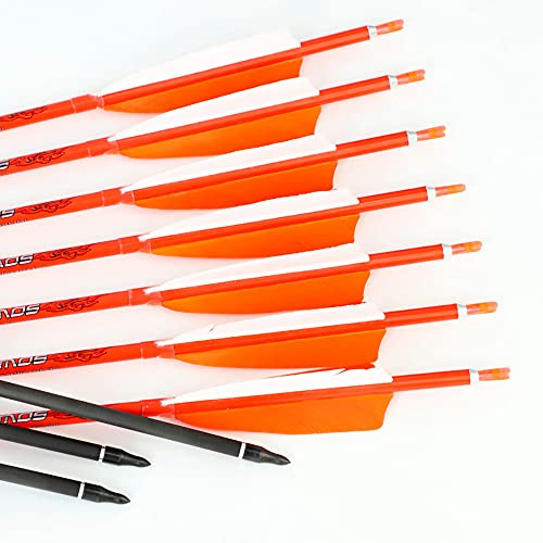ACCMOS Spine 700 Carbonpfeile 31 Zoll mit 4 Natürliche Feder für Langbogen Recurve Bogen Compoundbogen Bogenschießen Jagd 6 Stück (6pcs, Spine 700)