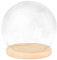 F Fityle Dôme d'affichage avec Base, dôme Cloche en Verre, vitrine de décoration de Maison de poupée, récipient de Terrarium, dôme en Verre Transparent, Socle en Bois de 15 cm