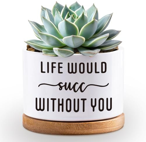Succulent Plant Pots 3.5 inch Ceramic Succulents Planter, Funny Cute Flower Planter Pot Gifts with Drainage Bamboo Tray-Indoor House Plant Pots (Plant Not Included) (Life Would Succ Without You)