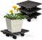 Oramics 4 Stück Pflanzenroller Eckig aus Massivholz in Schwarz – 30 x 30 x 8 cm bis 120 KG belastbar – Rollbrett für Pflanzen, Blumentöpfe und Blumenkübel – Blumentopf Untersetzer mit 4 Rollen