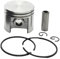 Juego de cilindro y pistón de 42,5 mm de diámetro for motosierra de gasolina STIHL MS250, MS230, 025, 023 y MS 230, 250 (1123 020 1209)(Piston set)