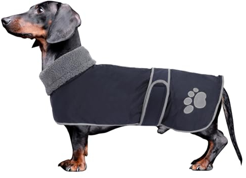 Geyecete Hunde Wintermantel fur Dackel,Hundejacken mit plüschfutter und Kabelbaumloch,Wasserdichter winddicht Outdoor bekleidung mit Sicheren Reflexstreifen,fur mittel und Kleiner Hund-Navy Blau-XL