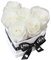 EG EMMIE GRAY Classic Infinity Rosenbox | Herz | Weiß – Traumhafte Infinity Rosen, 1-3 Jahre haltbare Rosen, Flowerbox mit echten, konservierten Rosen, edle Premiumrosen (S, Pure White)