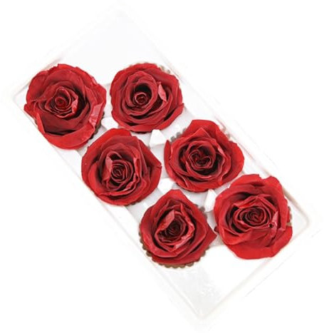 Yopeissn 6 Pièces Fleur de Vie Préservée 5-6 cm Tête de Rose Décoration de Fête de Mariage Fête des Mères Bricolage Cadeau Fait Main Fleurs Durables, A