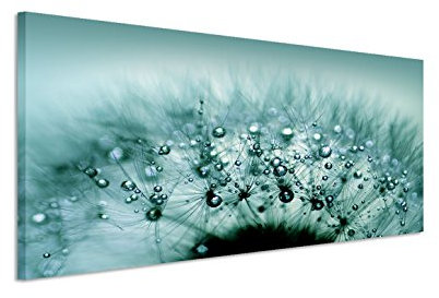 150x50cm Leinwandbild auf Keilrahmen Pusteblume Löwenzahn Wassertropfen Nahaufnahme Wandbild auf Leinwand als Panorama