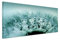 150x50cm Leinwandbild auf Keilrahmen Pusteblume Löwenzahn Wassertropfen Nahaufnahme Wandbild auf Leinwand als Panorama