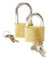 Ifam 379D40 - Candado Tifon 40Mm