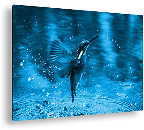 deyoli fliegender Eisvögel Format 80x60 Effekt: Monocrome Blau als Leinwandbild, Motiv fertig gerahmt auf Echtholzrahmen, Hochwertiger Digitaldruck mit Rahmen