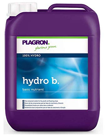 Plagron Hydro B 20 litros