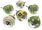 Mango Tree - Lot de 6 boutons de porte en céramique vert pomme et blanc