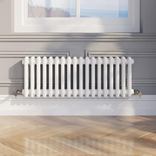 DuraTherm® 300 x 830mm White Traditional Horizontal Designer Radiator Double Column Colosseum Cast Iron Style Central Heating Panel Radiators Rad
