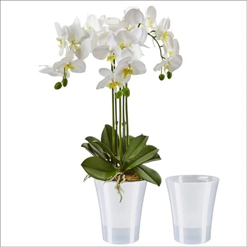 Santino Set di 2 vasi per orchidee trasparenti con sistema di stoppino autoirrigante, diametro 15 cm, trasparente, 2 l