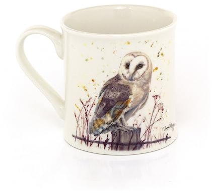 Carousel Home Barn Owl Fine China Coffee Cup | Woodland Owl Tea Cup Hot Drinks Tea Mug Coffee Mug | Wildlife Cup and Mug Gifts