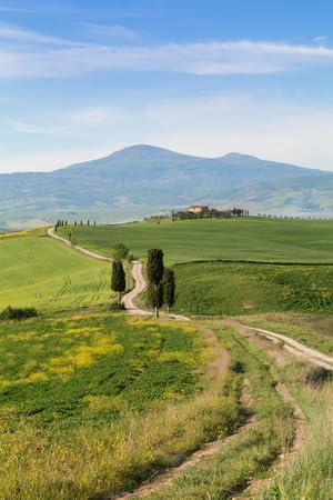 adrium Acryl-Bild 30 x 50 cm: Typische toskanische Landschaft und Straße, grüne Hügel im Frühling in Italien, Europa (71063193)