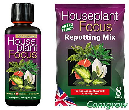 Growth Technology - Houseplant Focus or African Violet Focus Soil & Fertiliser (1x 8L bag of Soil - 1x HousePlant 300ml)