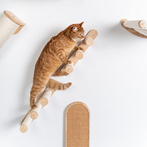 RHRQuality Katze Katzentreppe Set (2 stück) Kletterwand Wandmontage (Bis 20KG) 41 x 21,5 cm für große Katzen (Beige)