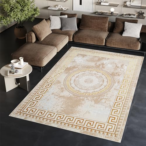 TAPISO Ares Teppich Kurzflor Glänzend Creme Beige Rahmen Marmoreffekt Rosette Klassisch 3D Effekt Wohnzimmer Schlafzimmer ÖKO-TEX 300 x 400 cm