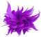 ihreesy Broche Élégante pour Femme, Broche Plume Fleur Broche de Fête Décor Coiffure pour Vêtements Broche de Mariage Femme Plume Broche Mariage Plume Fleur Broche,Alto