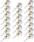 Sliverdew Lot de 20 Vis à Miroir, 16 mm, Acier Inoxydable, Décoratives, Capuchon à Vis, Argentées Chromées pour Tables à Thé, Armoires, Tables à Miroir