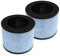 PUREBURG AP100 Replacement True HEPA Filter Compatible with Instant AP100 Air Purifier Part F100,2-Pack H13 HEPA Activated Carbon 4-Stage Filtration