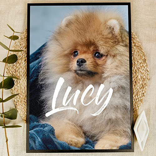 Pomeranian Holzbild - Hund Foto Geschenk - personalisierbar zum Hinstellen/Aufhängen opt. beleuchtet Pomeraian Deko, Zwergspitz, Mein Pomeranian Kuscheltier Poster - personalisierte Geschenke
