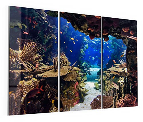 DEQORI Glasbilder Echtglas | Motiv Exotisches Aquarium | horizontal 3-teilig 150x100 cm | große XXL Deko | Wandbilder für Wohnzimmer, Schlafzimmer, Flur & Küche | moderne Wanddeko