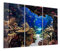 DEQORI Glasbilder Echtglas | Motiv Exotisches Aquarium | horizontal 3-teilig 150x100 cm | große XXL Deko | Wandbilder für Wohnzimmer, Schlafzimmer, Flur & Küche | moderne Wanddeko