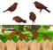 Plstod Déco Jardin Métal Rouillé, 4 Oiseaux Decoratifs Exterieur, Oiseaux Rouillés avec Vis, Deco Jardin Exterieur pour Yard Art, Décoration Murale