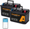 2 batterie al litio Enerakkus 12 V 100 Ah LiFePO4, protezione Bluetooth 100 A, durata fino a 15000 cicli, max. 1280 Wh, batteria LiFePO4 di piccole dimensioni per camper, motori a traina