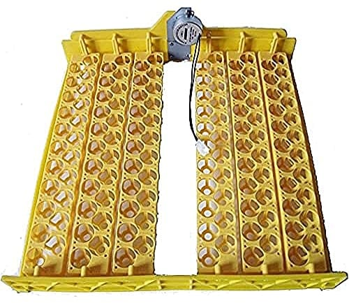 Bandeja volteo incubadora 132 huevos de codorniz - 12V AC