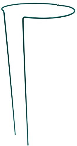 Connex Plant support hoop 33 x 33 x 70 cm | Garden hoop | Bow plant support | Plant care | Plant support | FLOR78456