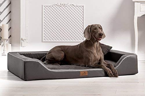 tierlando® Orthopädisches Hundebett Melody Latex Kunstleder und High-Tech Velours (MDY3-TL | 85x60 cm (Innen 70x45 cm), 02 | Graphit)