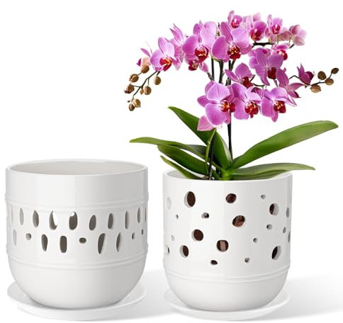 LITUDISO Vaso per orchidee, vasi per orchidee con fori, vasi per orchidee per rinvaso, vasi da fiori in ceramica con drenaggio e vassoio, fioriere per piante da interno/esterno, bianco