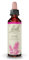 Fleurs de Bach Original, Pine, No 24, pour plus d'estime de soi, aide à accepter ses erreurs. Elixir floral naturel pour le bien-être émotionnel. Compte-Gouttes 20ml, Vegan