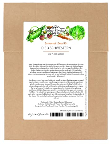 Las tres hermanas - Semillas- Set de con maíz dulce, frijoles y calabaza en cultivo mixto